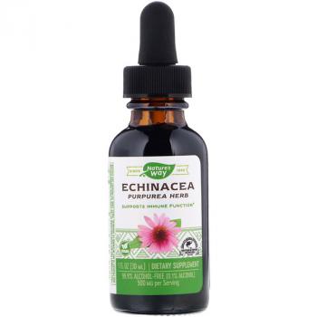 Nature's Way Echinacea (Эхинацея на 99,9% без спирта) 30 мл