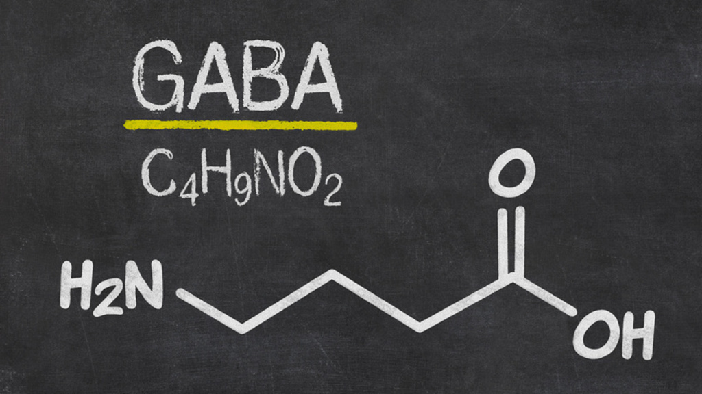 gaba