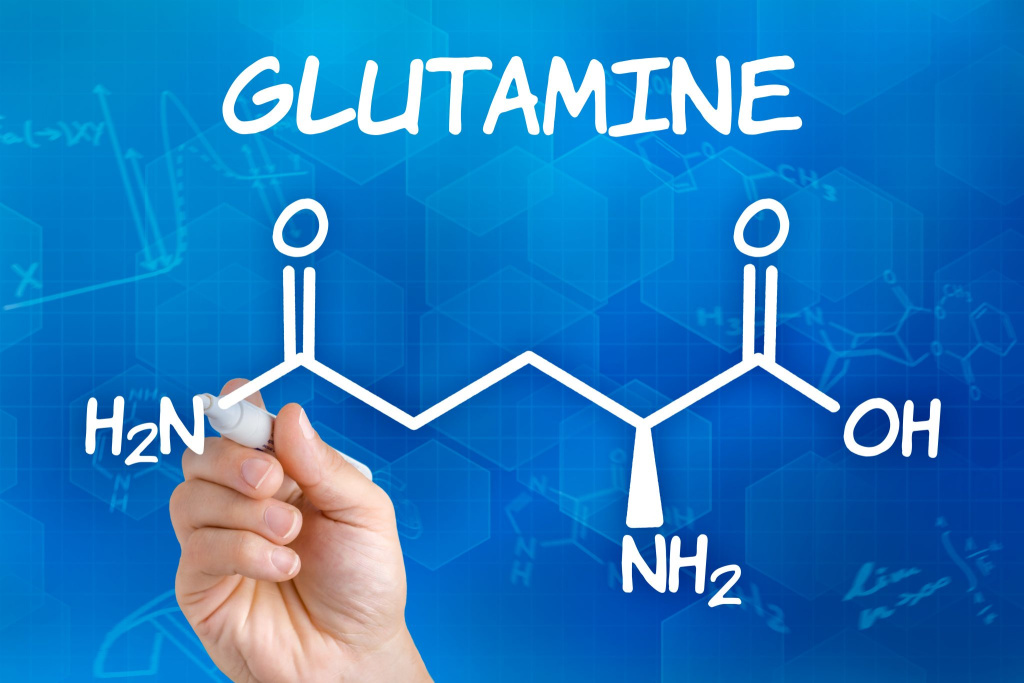glutamin glutamin