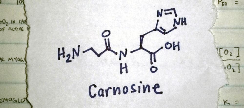 carnozine.jpeg carnozine