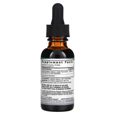 Nature's Answer Horsetail Extract (экстракт хвоща) без спирта 2000 мг 30 мл (1 жидк. унция)