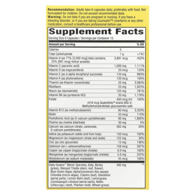 Nature's Way Alive! Max6 Potency (мультивитаминный комплекс без железа) 90 капсул