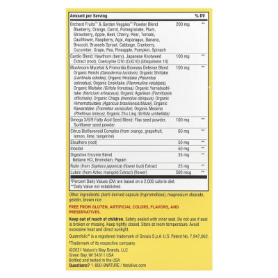 Nature's Way Alive! Max6 Potency (мультивитаминный комплекс без железа) 90 капсул