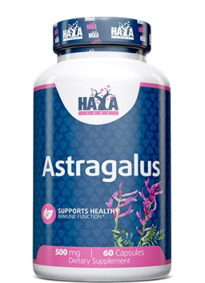 Haya Labs Astragalus (Астрагал) 500 мг 60 капсул
