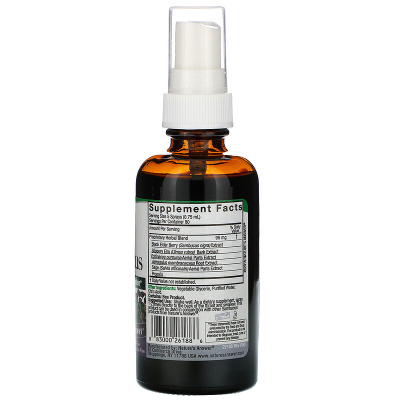 Nature's Answer Sambucus Black Elderberry Extract Spray (спрей с экстрактом черной бузины) 60 мл